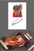 Lauda, Niki