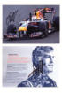 Vettel, Sebastian